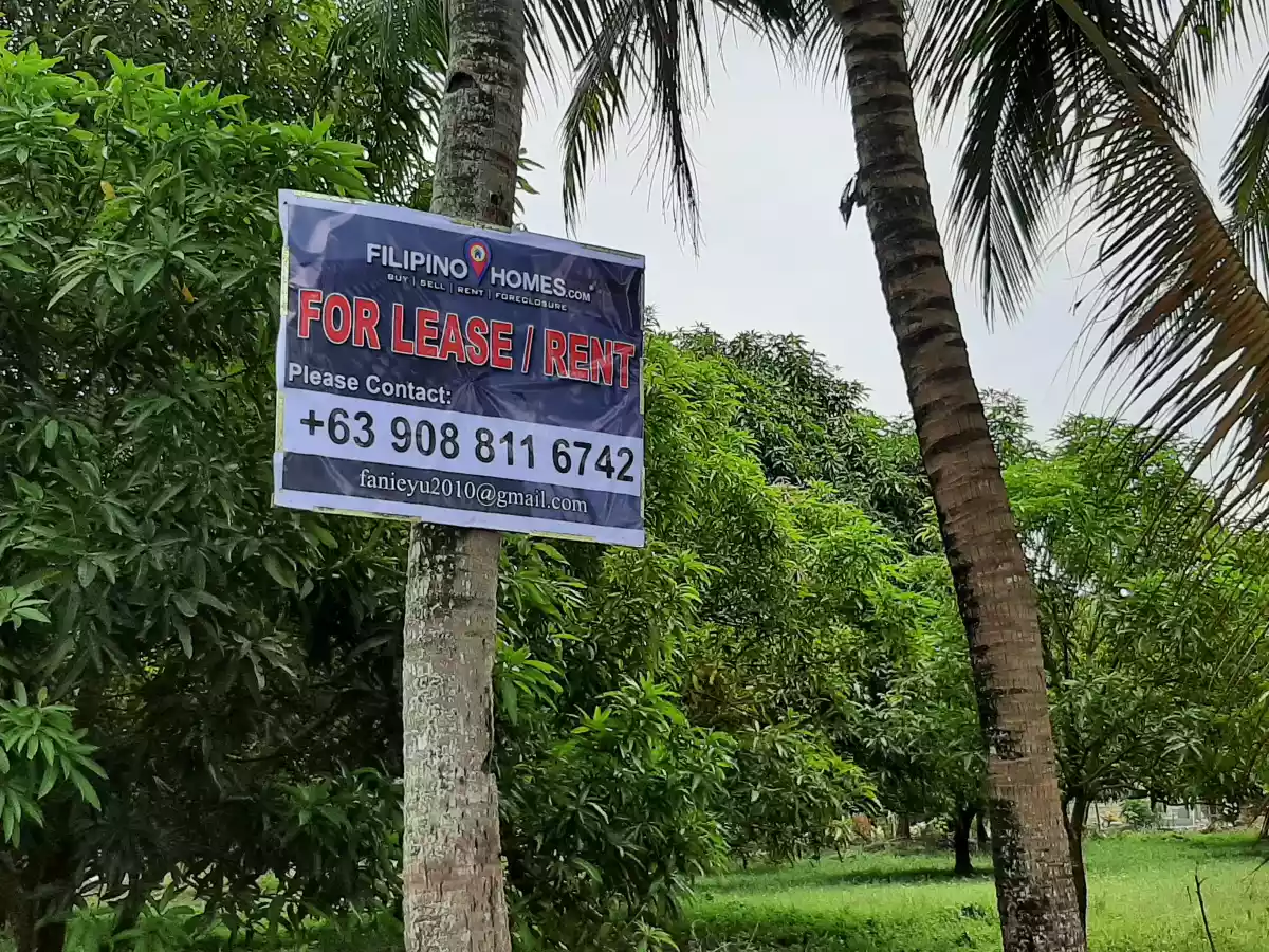 LOT FOR LEASE! - photo 5