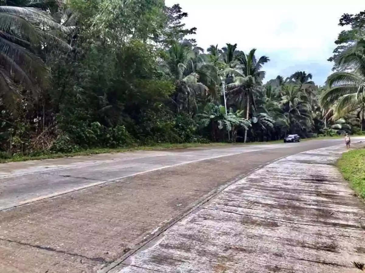 LOT FOR SALE @ SIARGAO ISLAND — Agricultural Lot in Philippines — Photo 6