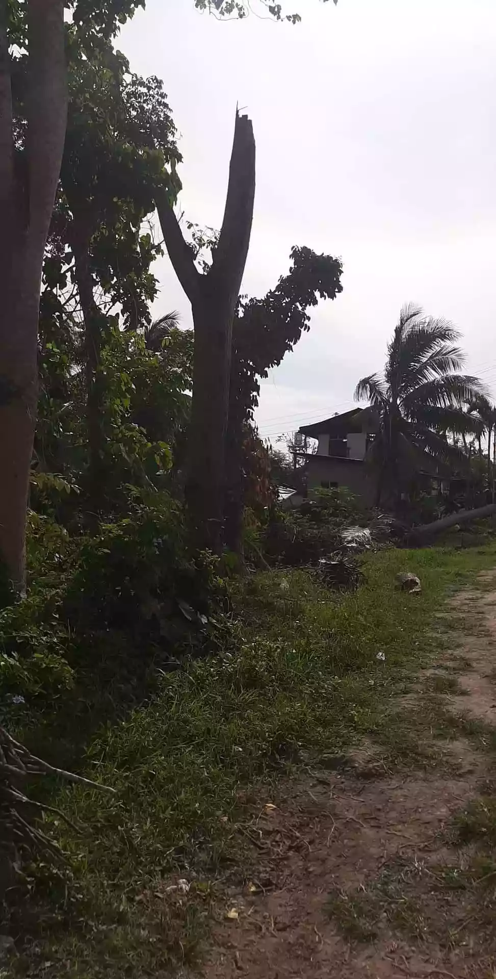 LOT FOR SALEâ€¼ï¸ - photo 3