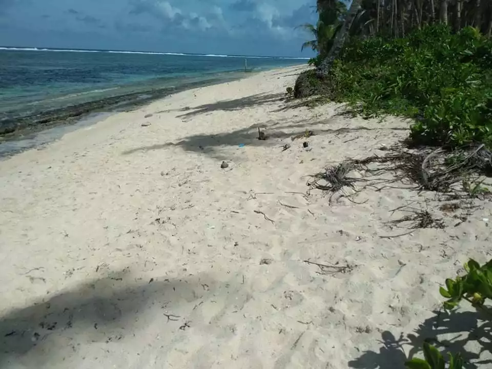 Beach Lot For Sale in Burgos, Siargao Islands - photo 7