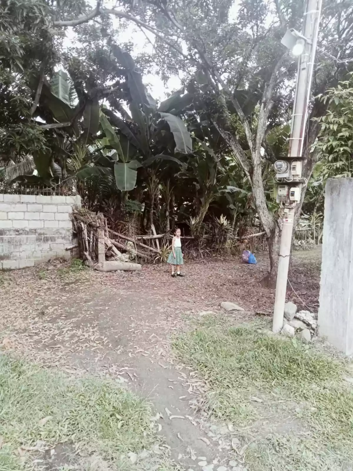 LOT for Sale! — Residential Lot in Sto Niño Road, Dumaguete, Negros Oriental — Photo 7