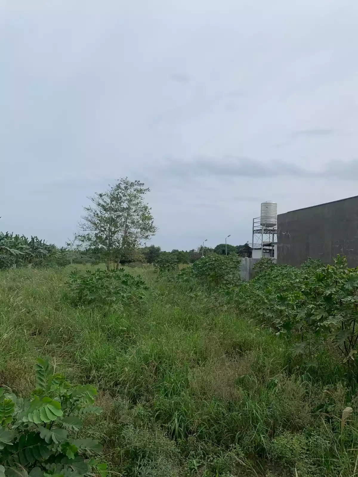 1 HECTARE COMMERCIAL LOT FOR SALE - photo 6