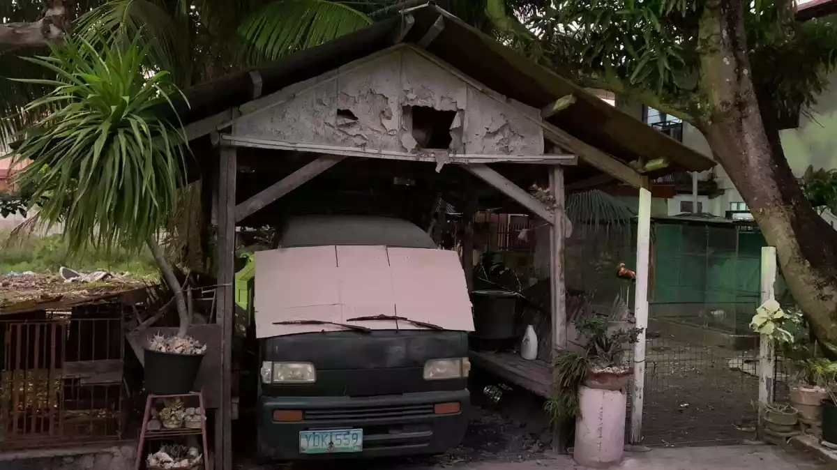 Titled Lot — Residential Lot in Talisay, Cebu, Philippines — Photo 5