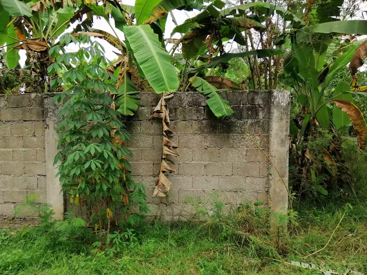 545 sqm Residential Lot for Sale in Tipanoy (repriced)