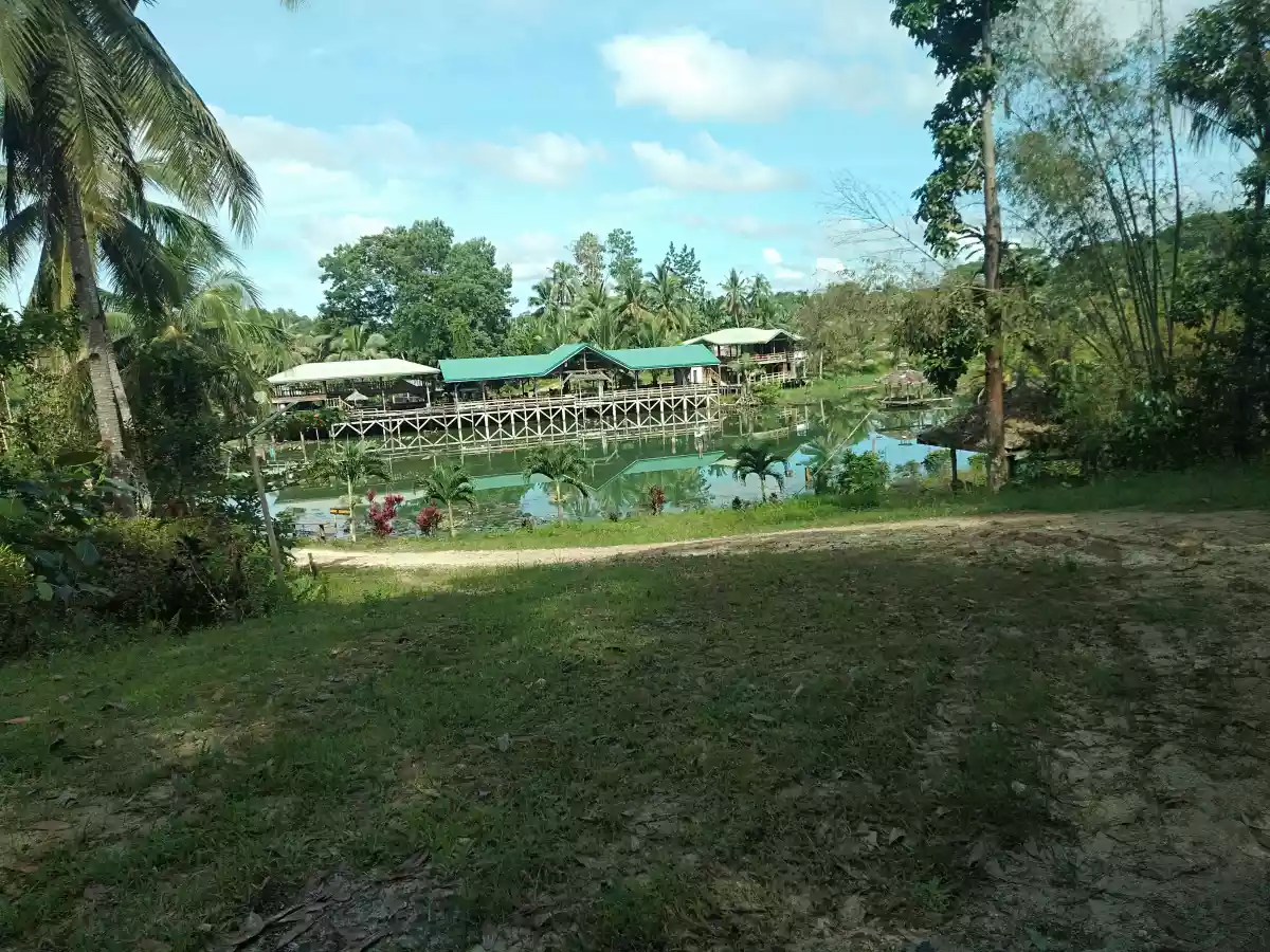 Amelita Davis & Steven Davis - photo 2