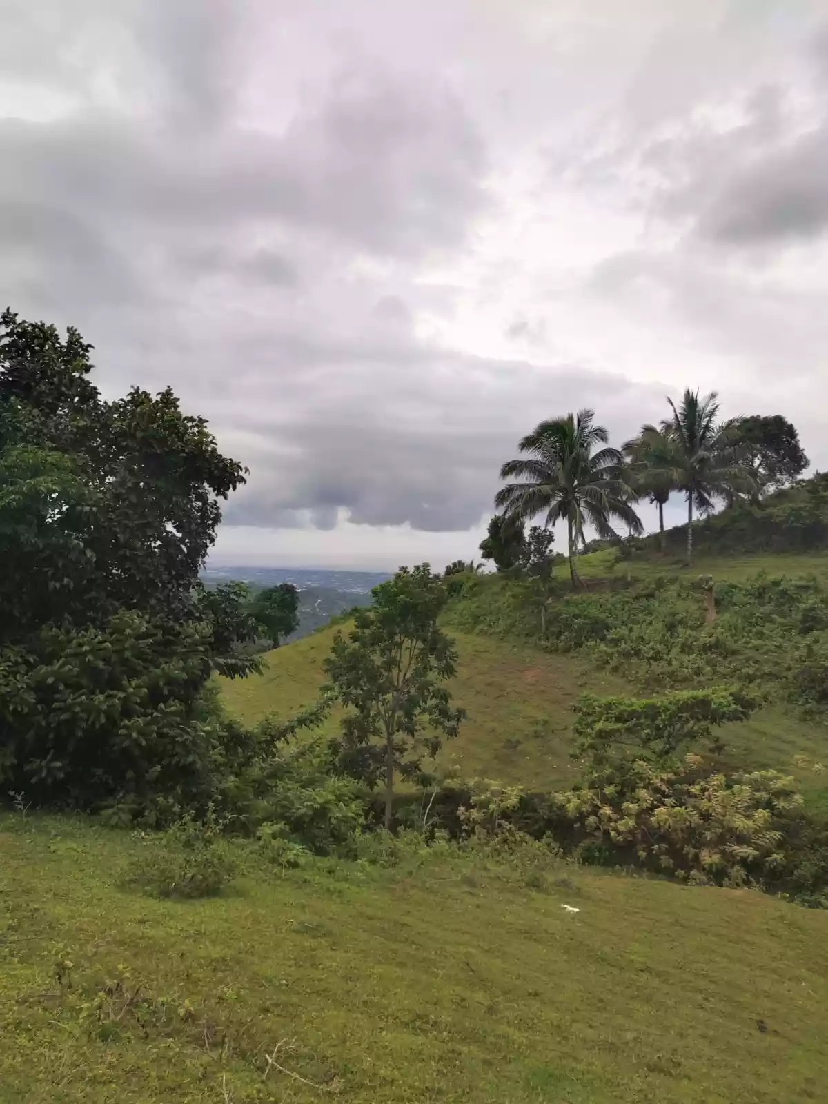 Titled lot - photo 4