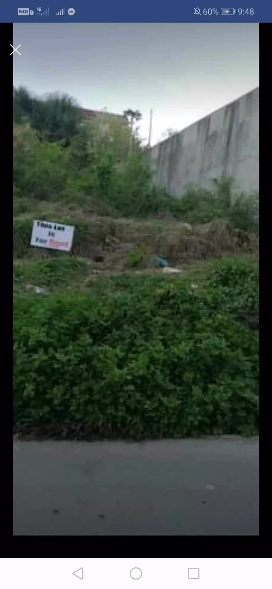 Mandaue Lot Property - photo 4