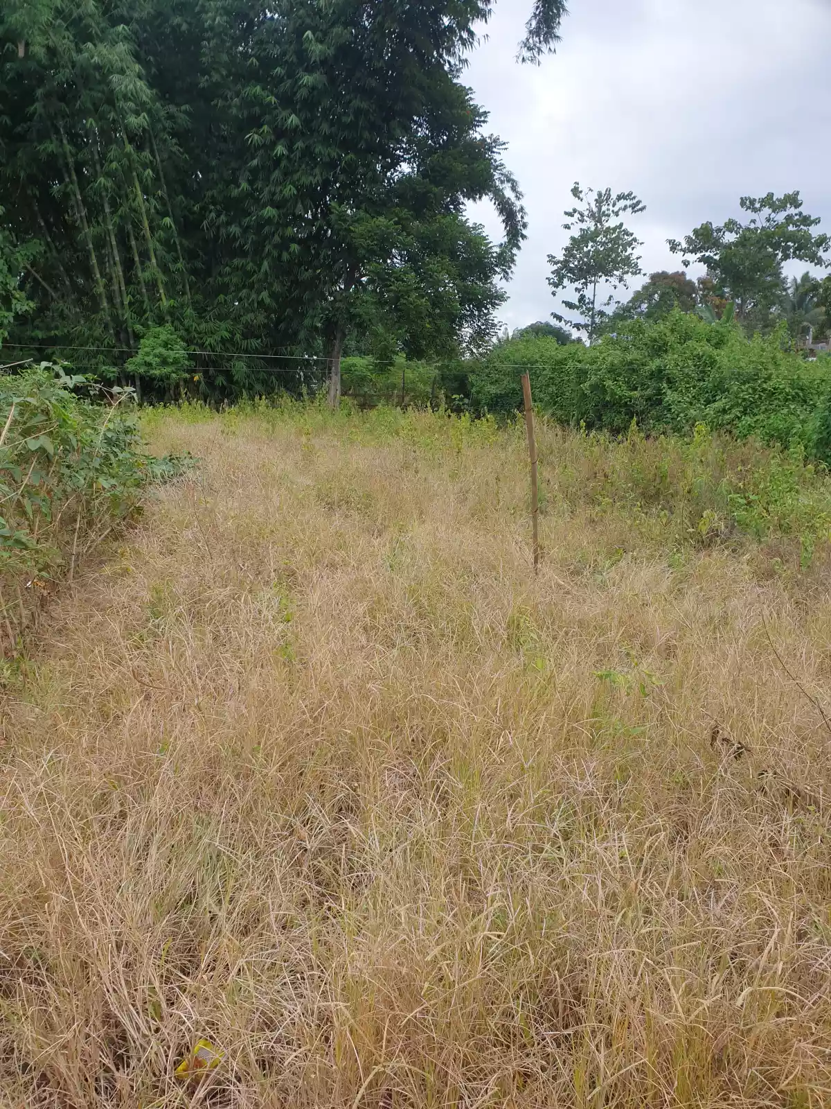 Residential lot — Residential Lot in Bukidnon, Philippines — Photo 4