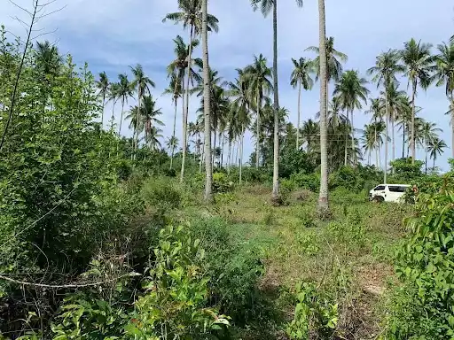 Open photo 23 of 27 — Beach Lot for Sale