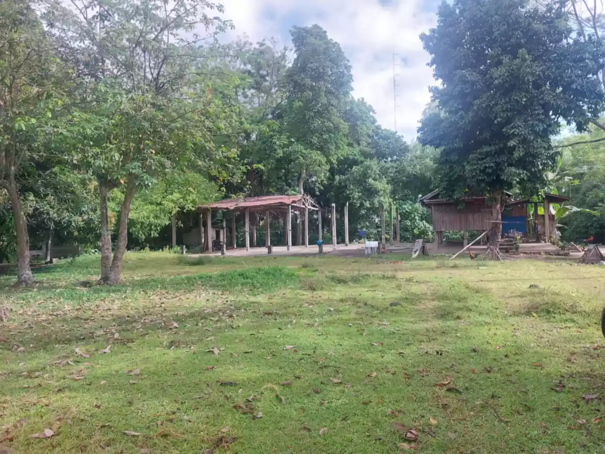 Open photo 24 of 26 — Farm Lot Convertible to Residential