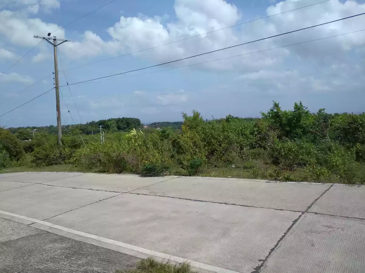 Consolacion Lot for Sale - photo 5