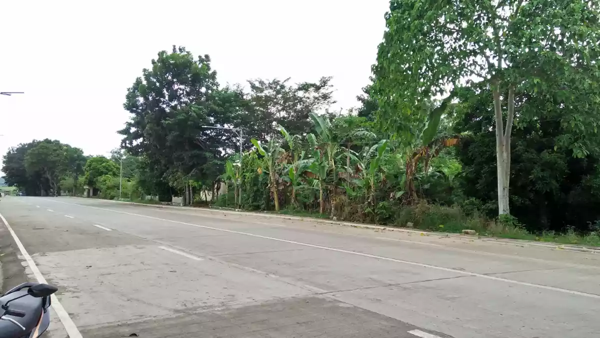 45 hectares Farm Land for Sale - photo 2