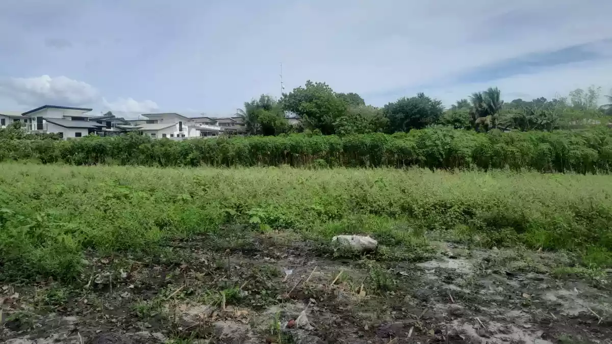 Agricultural Lot Ideal for Commercial Lot in Mabuhay Road (Corner) — Agricultural Lot in General Santos City, South Cotabato, Philippines — Photo 5