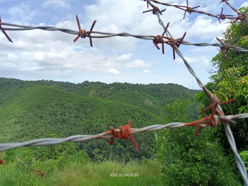 HOUSE AND LOT FOR SALE — House and Lot in Talisay, Cebu, Philippines — Photo 3
