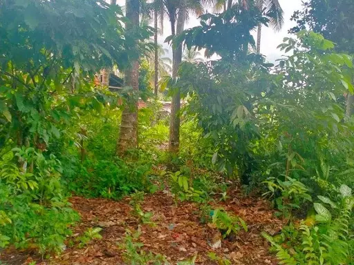 Open photo 11 of 14 — Residential lot for sale