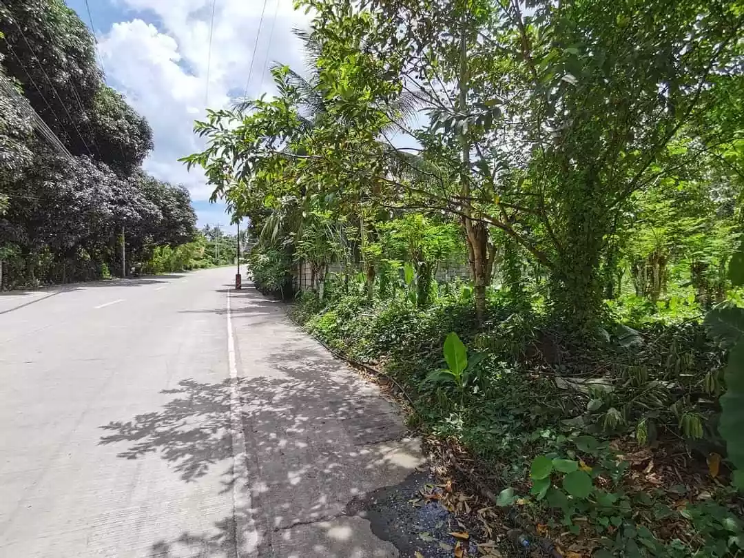 Commercial lot — Commercial Lot in Valencia, Negros Oriental, Philippines — Photo 2