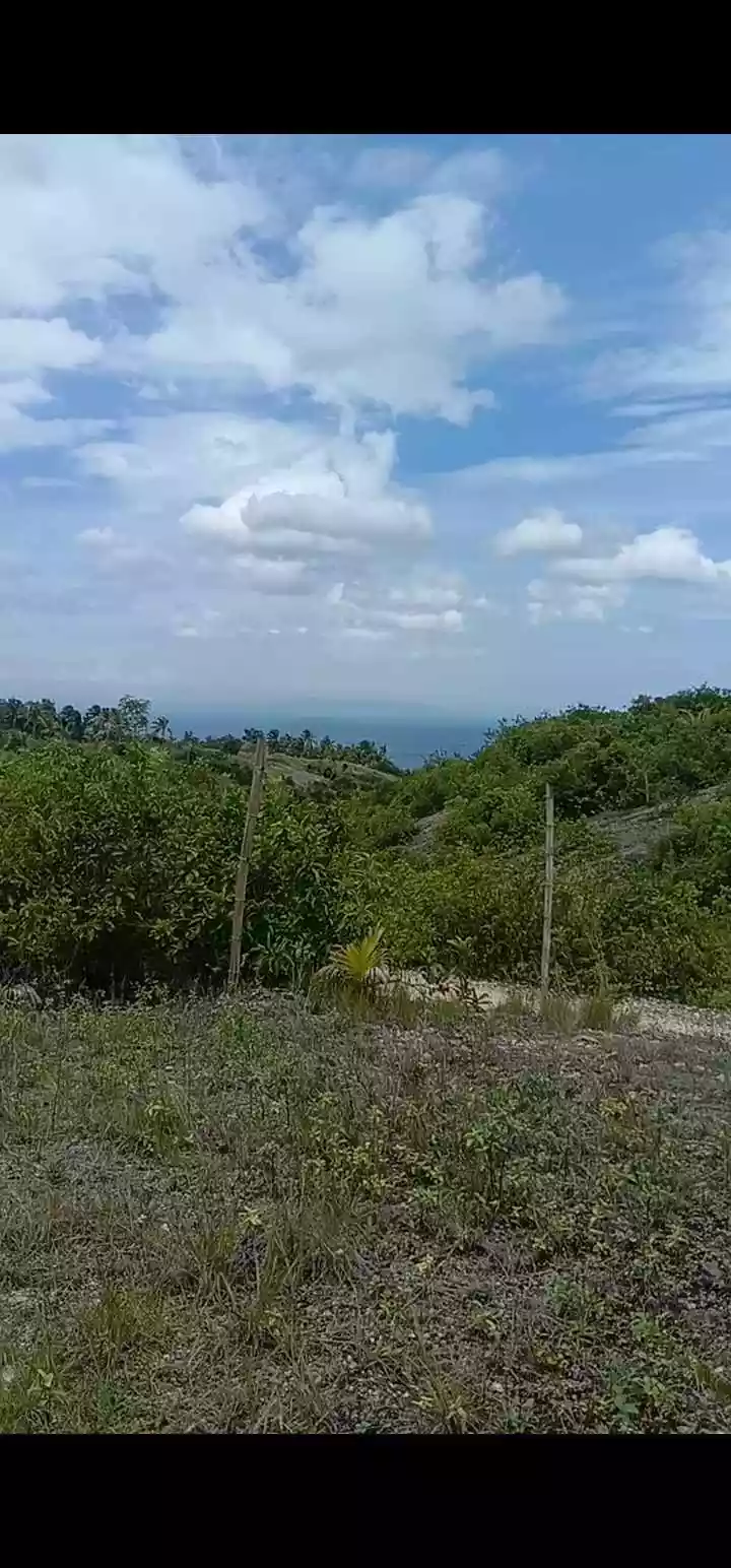 Banhigan Residential Lot — Residential Lot in Cebu, Philippines — Photo 3