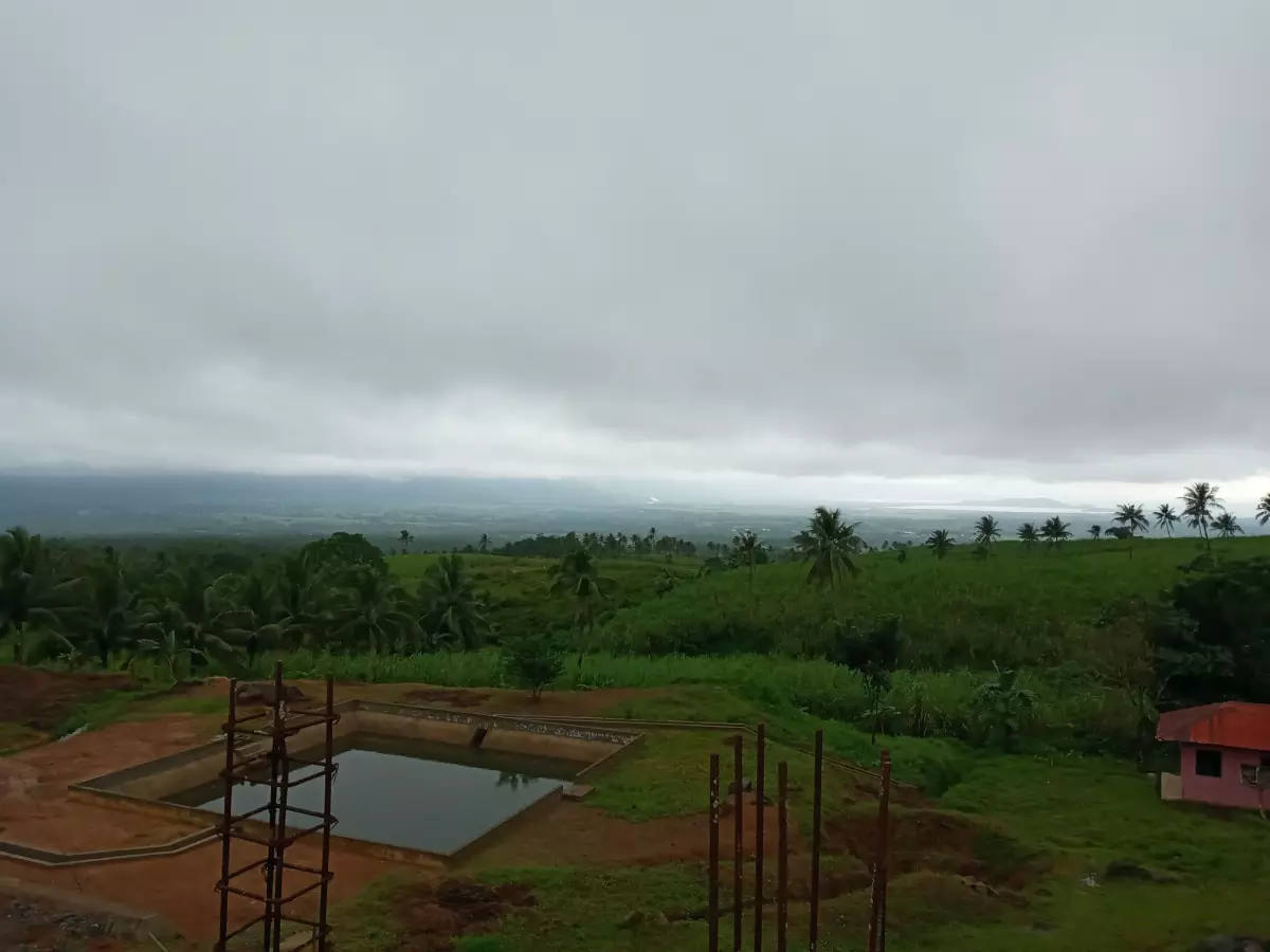 Amlan Negros Oriental 3.03 Hectares Agricultural Lot on Sale - photo 4