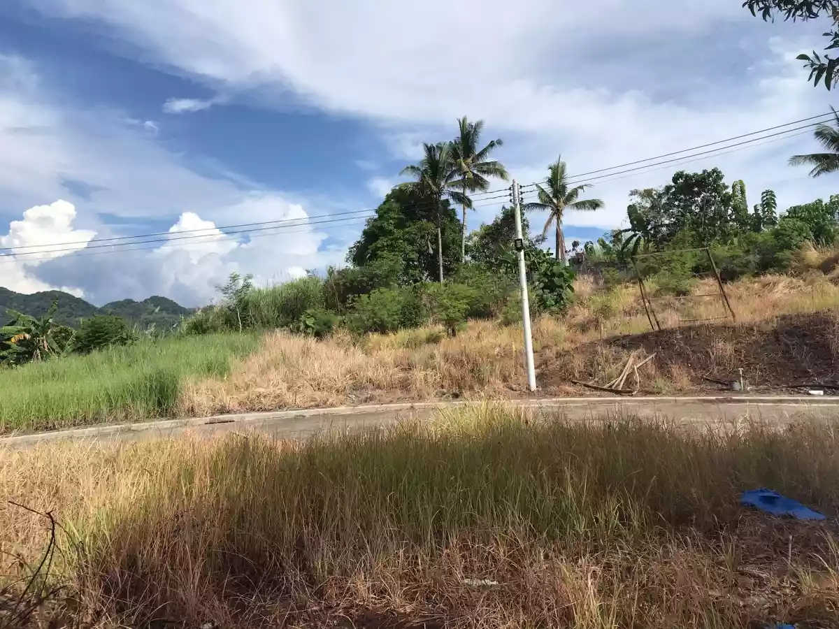 OVERLOOKING RESIDENTIAL LOTS @ GUSA, CDO - photo 6