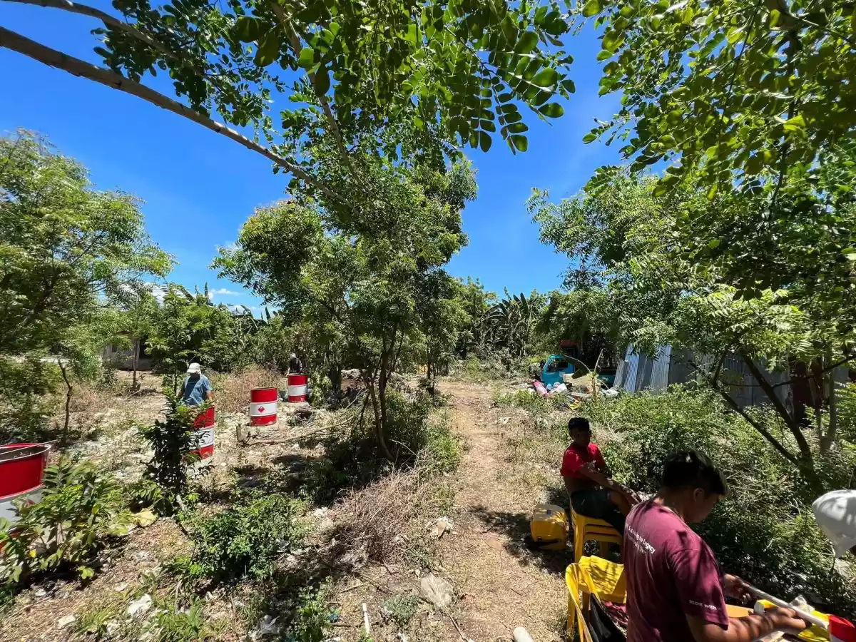 Lot for sale  - photo 6
