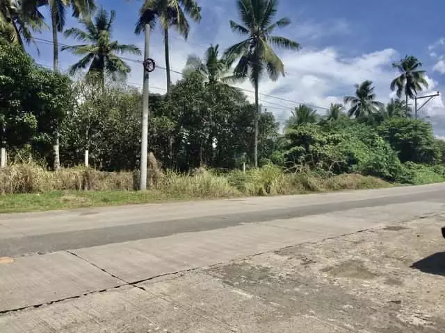 Industrial lot for sale in Bunawan area — Industrial Lot in Bunawan, Davao City, Davao del Sur — Photo 4