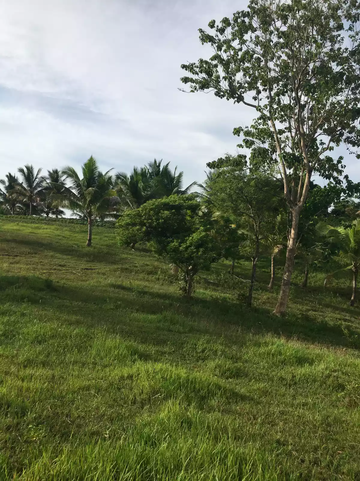 Pualas Near Hidden Valley Property — Agricultural Lot in Baungon, Bukidnon, Philippines — Photo 5