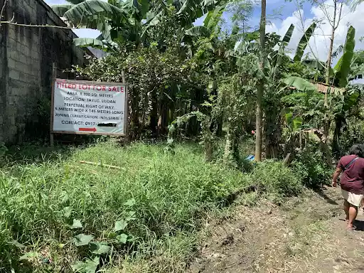 Idle Lot for Sale in Tayud, Liloan - photo 2