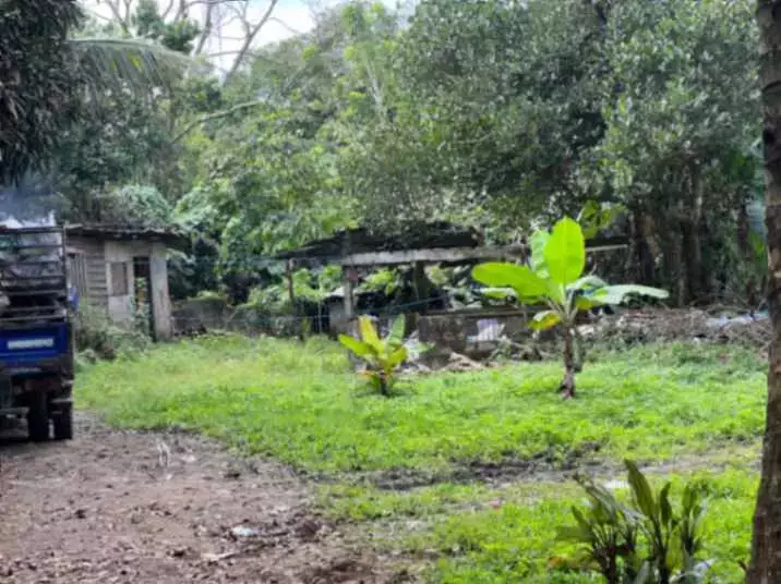 For Sale: Agricultural Lot in Lalaan I, Silang — 1,000 sqm — Agricultural Lot in Silang, Cavite, 4118 — Photo 6
