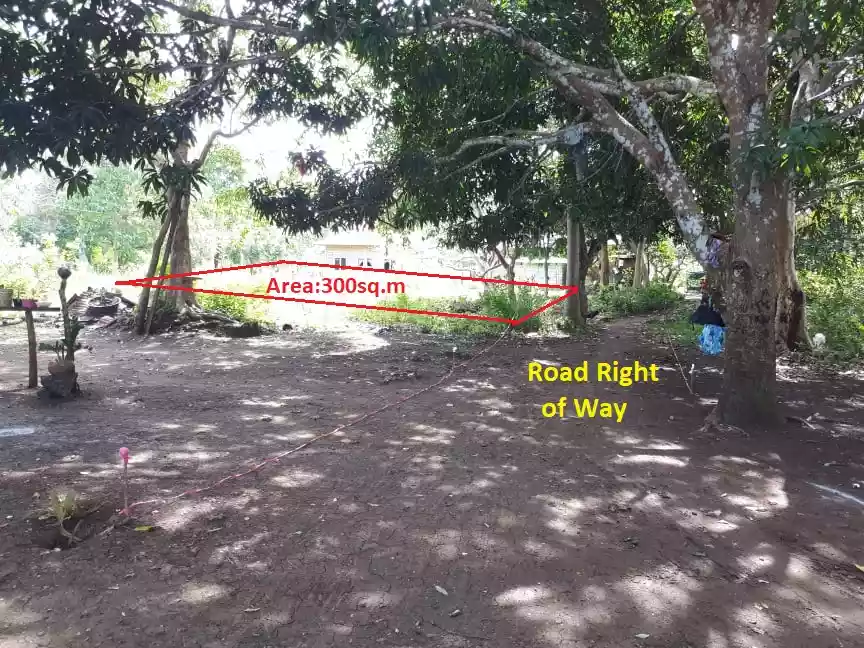 Walking distance to Panglao Airport & Few meters away to Nonki Japanese Restaurant - photo 3