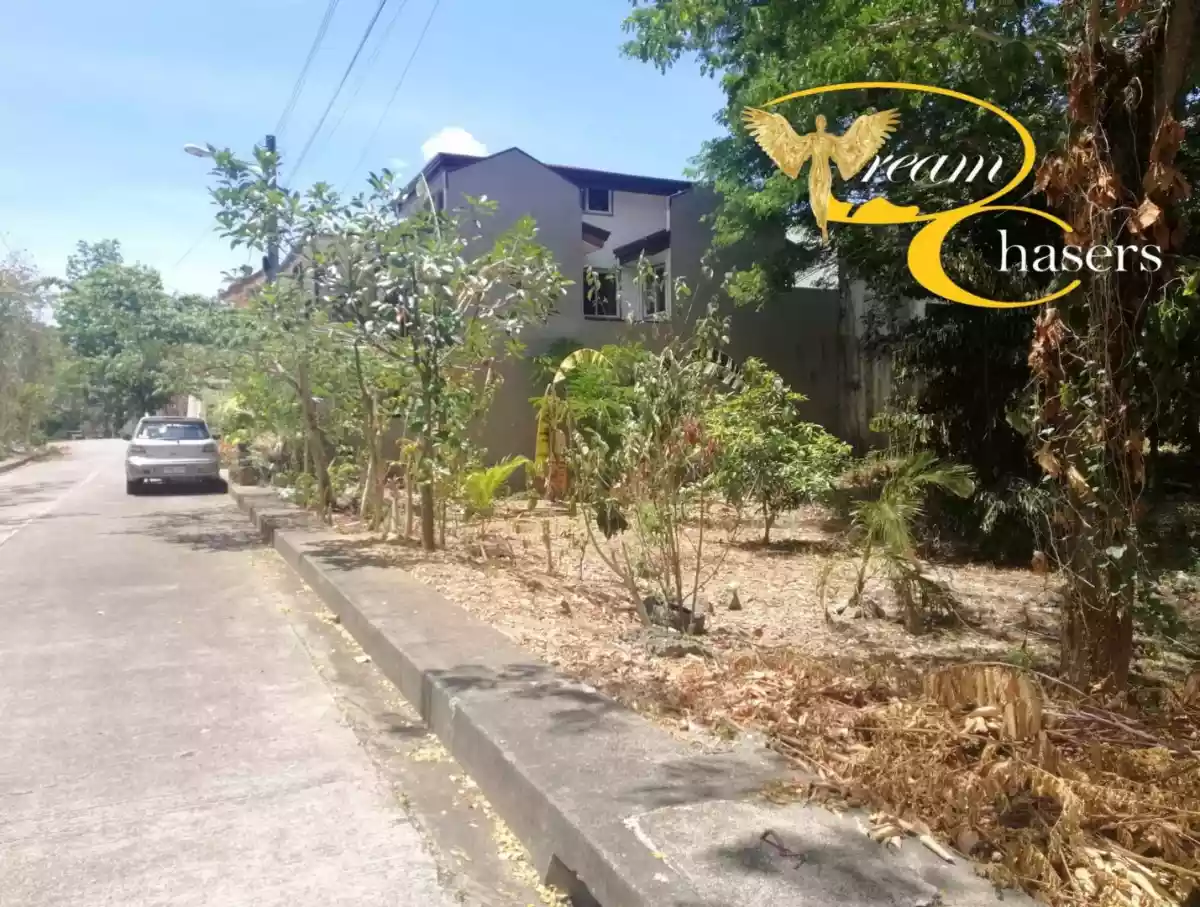 128 sqm Lot Only in Pulang-bato - photo 3