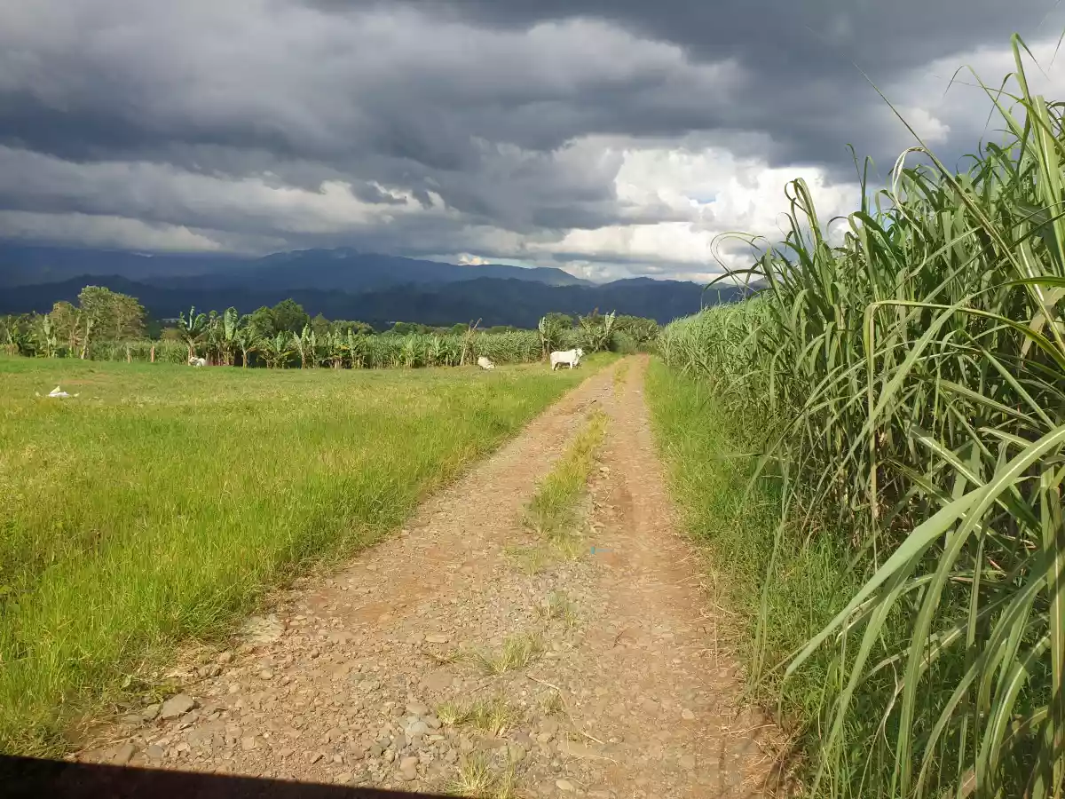 FARM LOT FOR SALE AT CASISANG MALAYBALAY CITY BUKIDNON — Agricultural Lot in Malaybalay, Bukidnon, Philippines — Photo 2