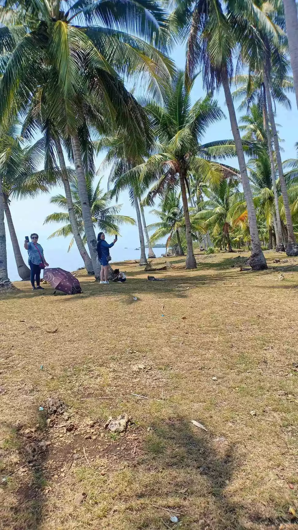 BEACH LOT - photo 5
