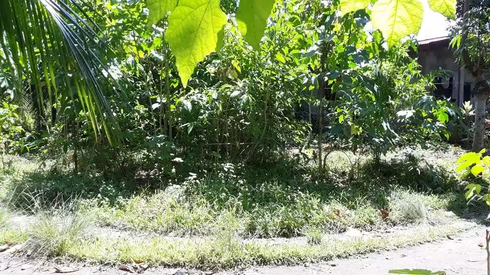 Toril fish port lot at Tambakan — Residential Lot in Toril, Davao City, Davao del Sur — Photo 5