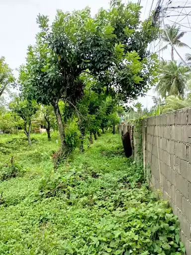 Ideal for mixed use — Commercial Lot in Panabo Circumferential Road, Tagum, Davao del Norte — Photo 4