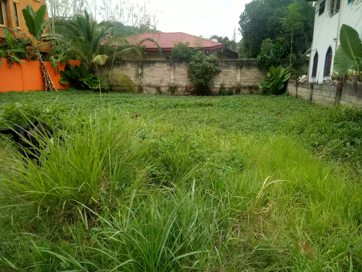 Lot for Sale in Talamban - photo 6