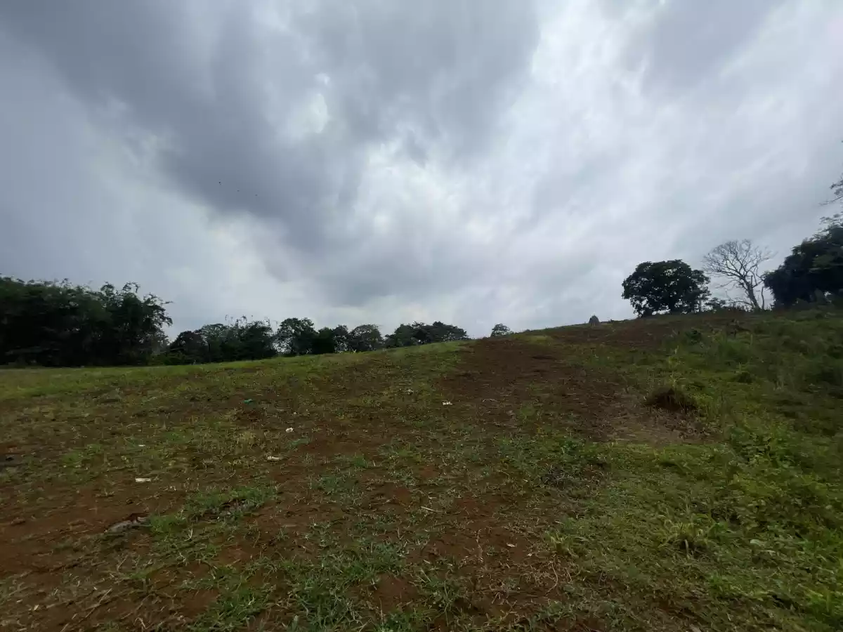 3.8 HA agricultural lot for sale at Baungon Bukidnon — Agricultural Lot in Baungon, Bukidnon, Philippines — Photo 4