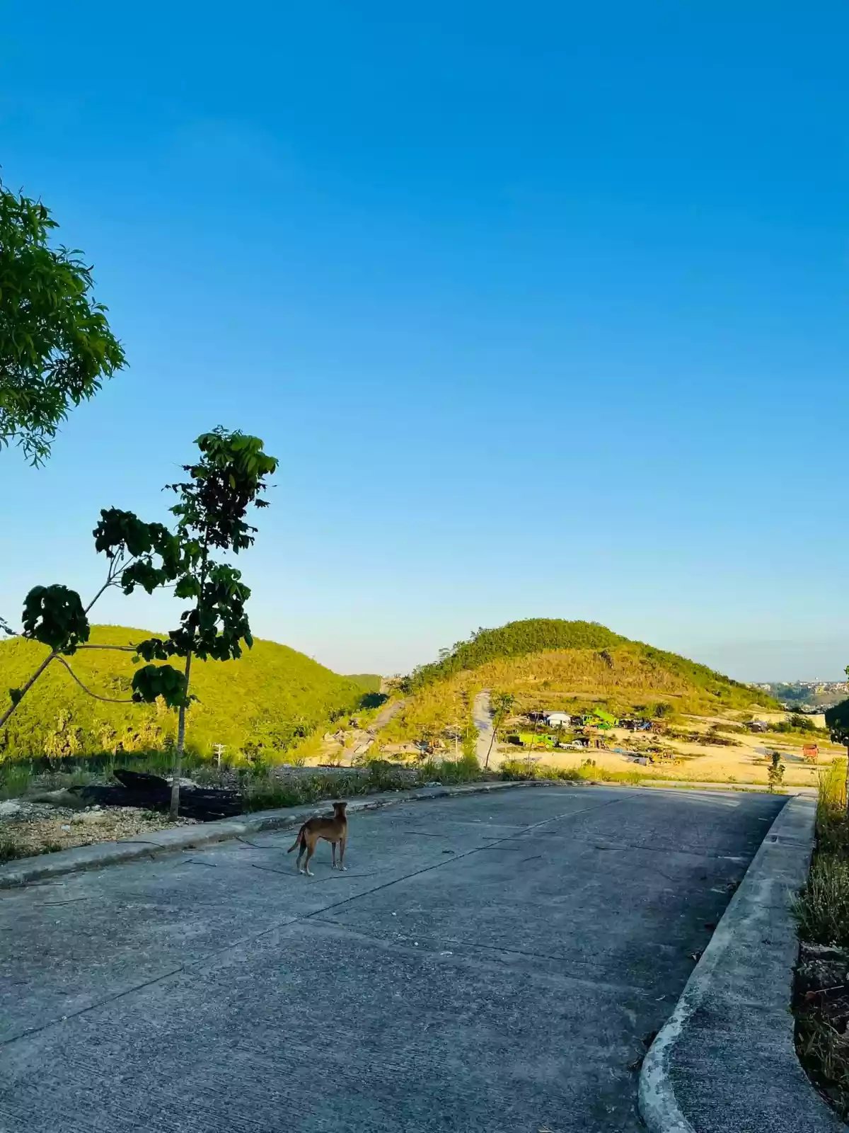 Residentail Lot inside overlooking Subdivision in Polog Consolacion — Residential Lot in Consolacion, Cebu, Philippines — Photo 5