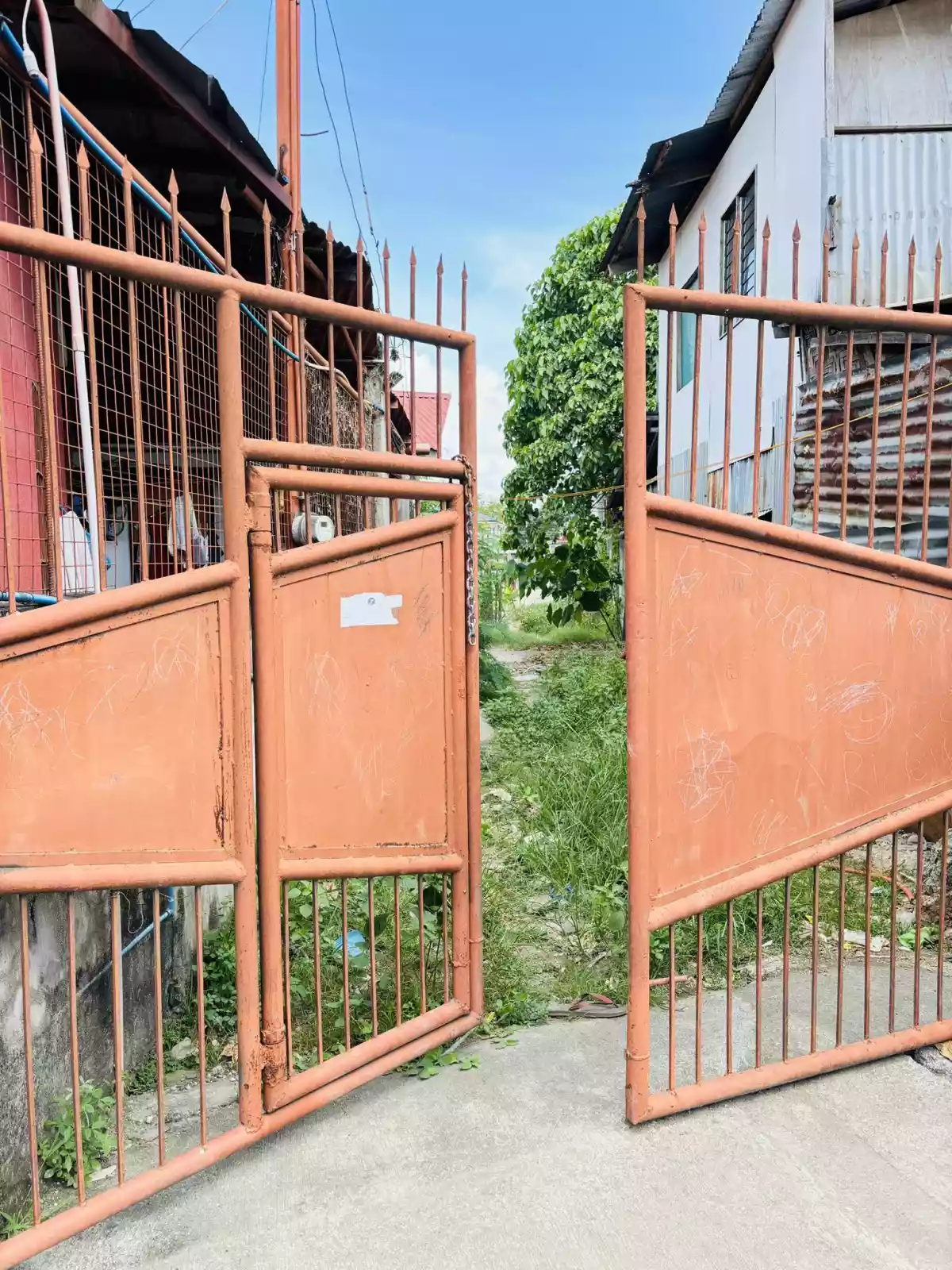 For Sale!!! Residential lot !!! — Residential Lot in New Sangi Road, Lapu-Lapu City, Cebu — Photo 5