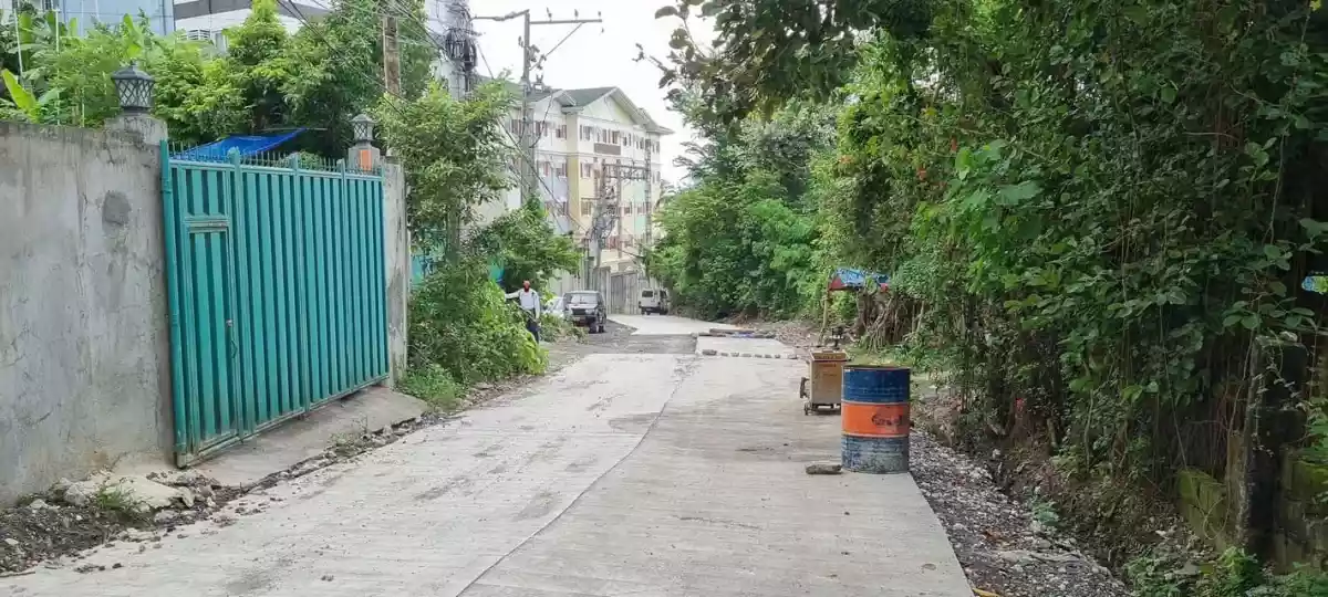 Lot for Sale in Banawa, Cebu City  - photo 2