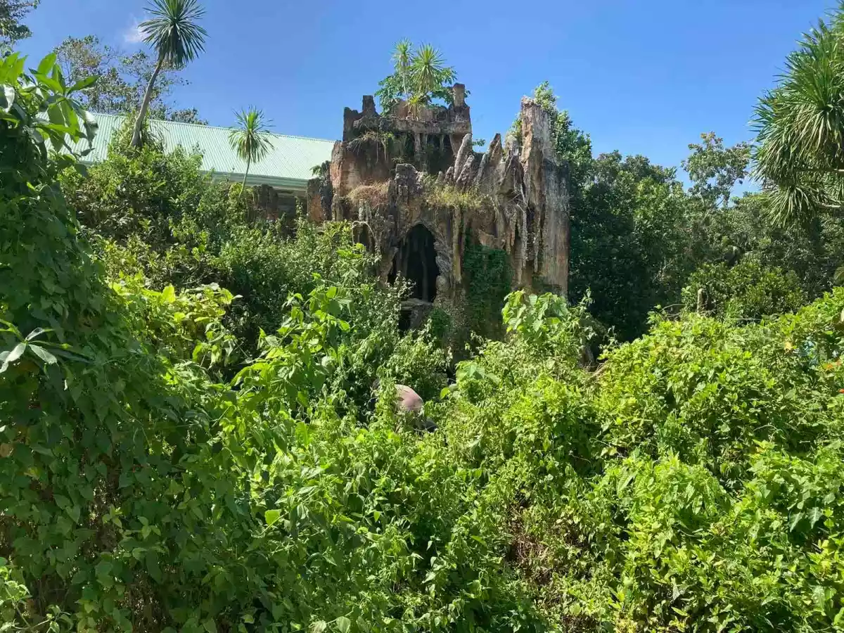 Eric Manigo — Agricultural Lot in Cebu City, Cebu, Philippines — Photo 3