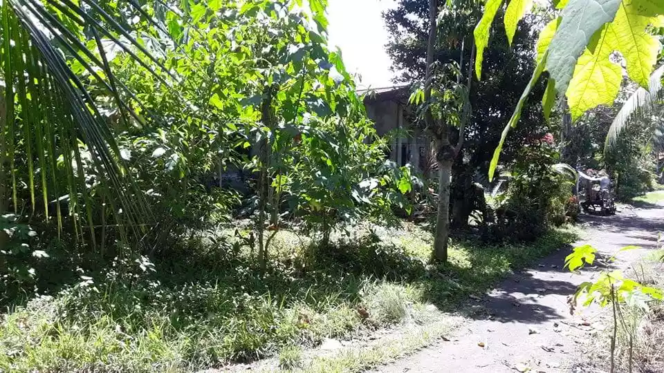 Toril fish port lot at Tambakan — Residential Lot in Toril, Davao City, Davao del Sur — Photo 2