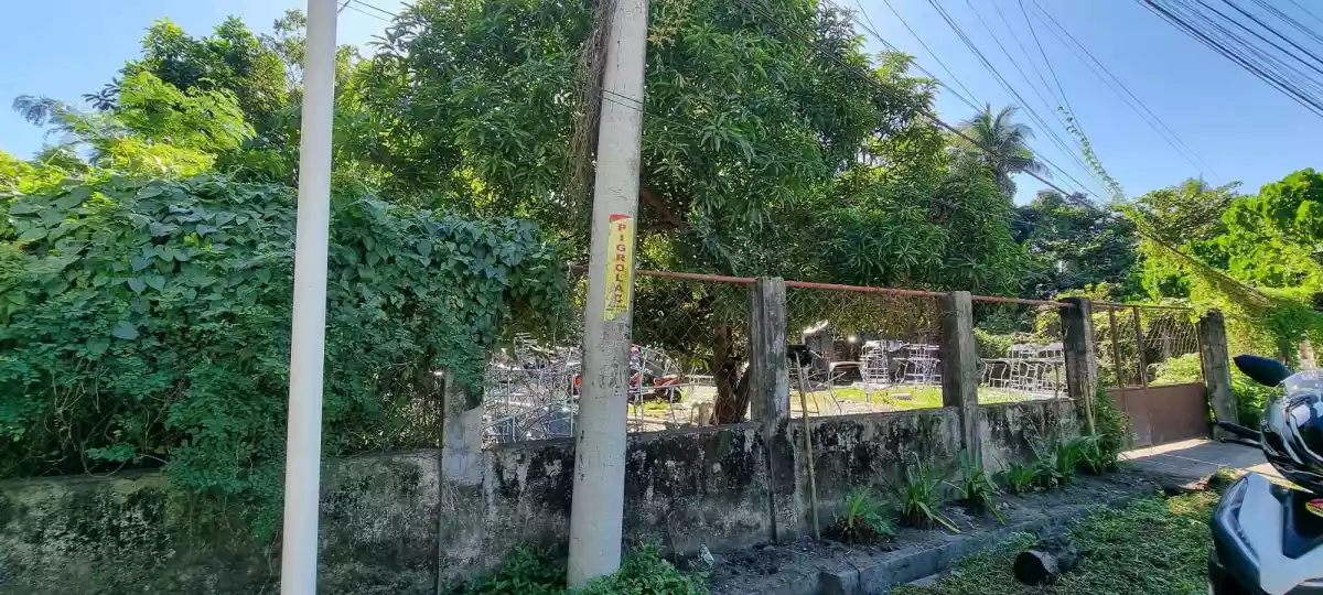 Lots for Sale in Alegre, Oton, Iloilo — Residential Lot in Oton, Iloilo, Philippines — Photo 4