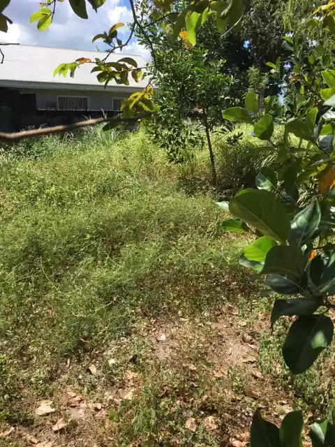 LOT ONLY FOR SALE  - photo 3