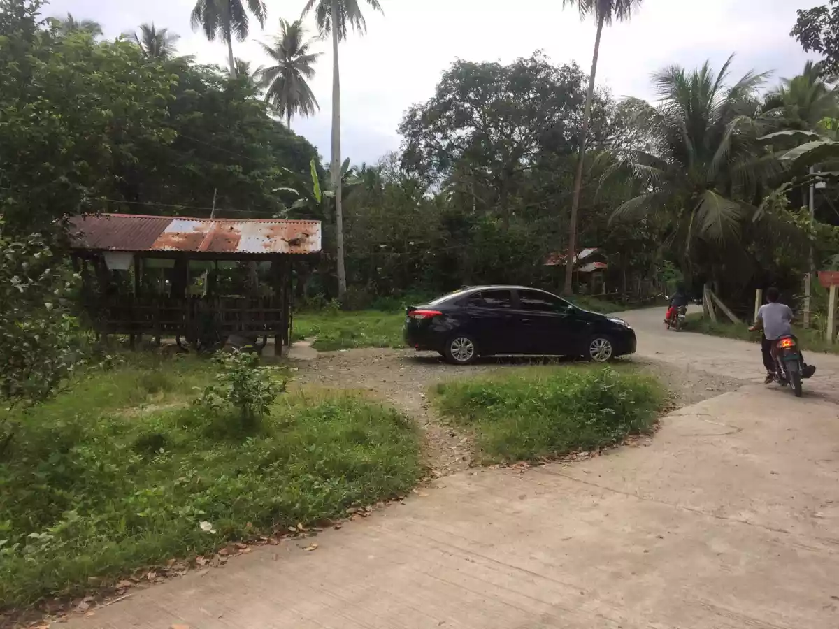 For Sale Titled Commercial Lot in Balamban Cebu — Commercial Lot in Cebu City, Cebu, Philippines — Photo 4