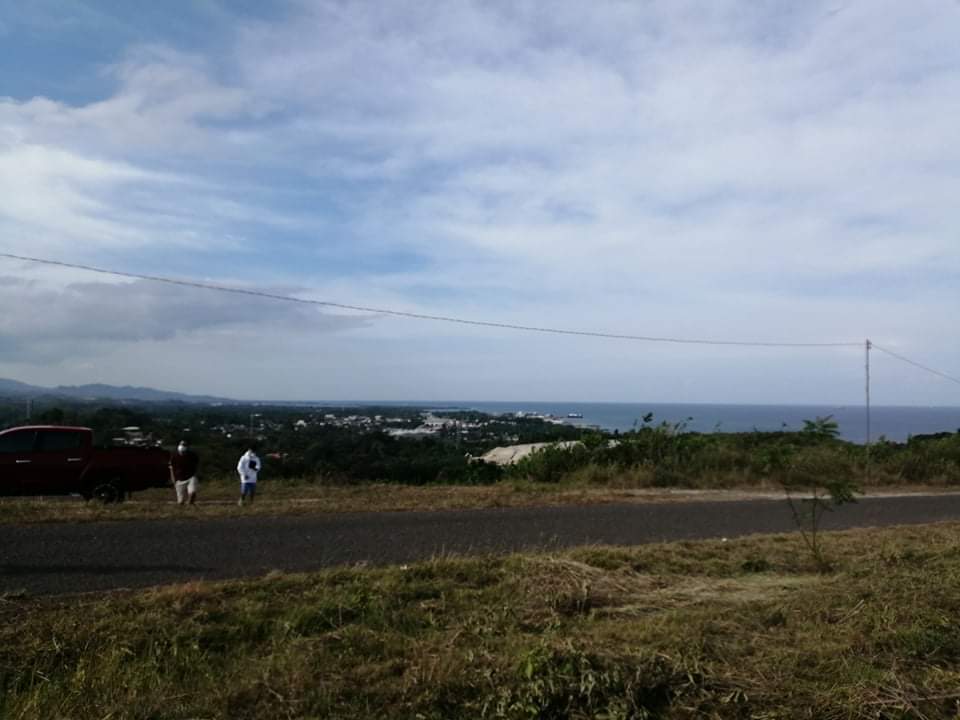 Overlooking lot for sale in danao 