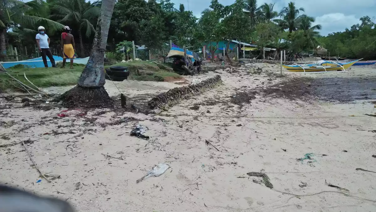 San Remegio Beach Lot for Sale - photo 4