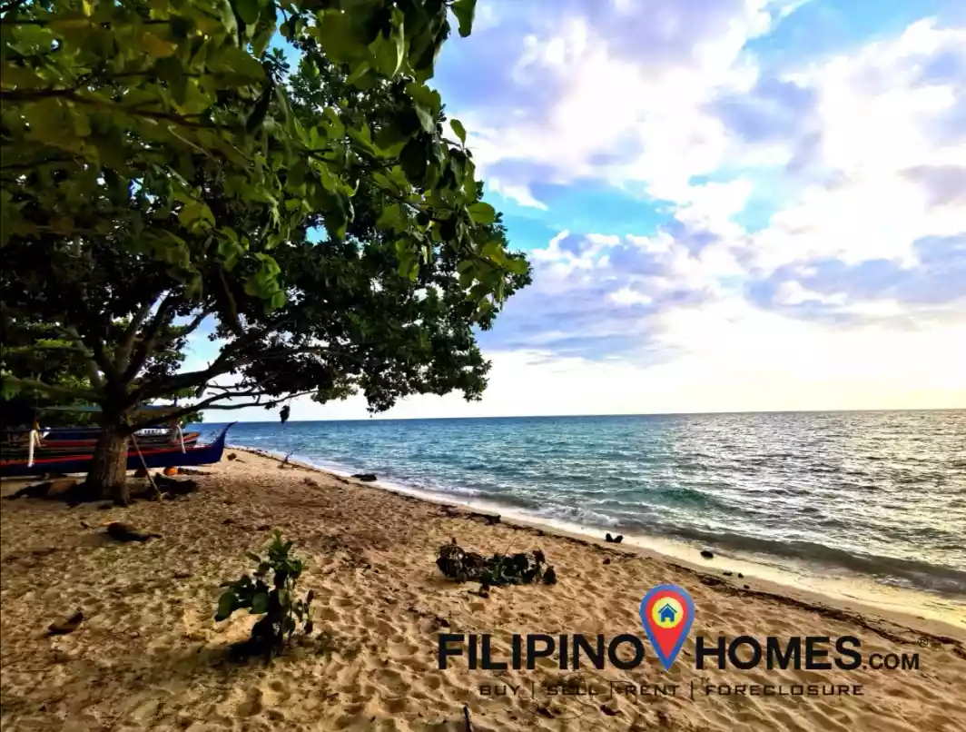 3 Hectares Whitesand Beach Property — Beach Lot in Taluya - Macatimbol Road, Glan, Sarangani — Photo 4