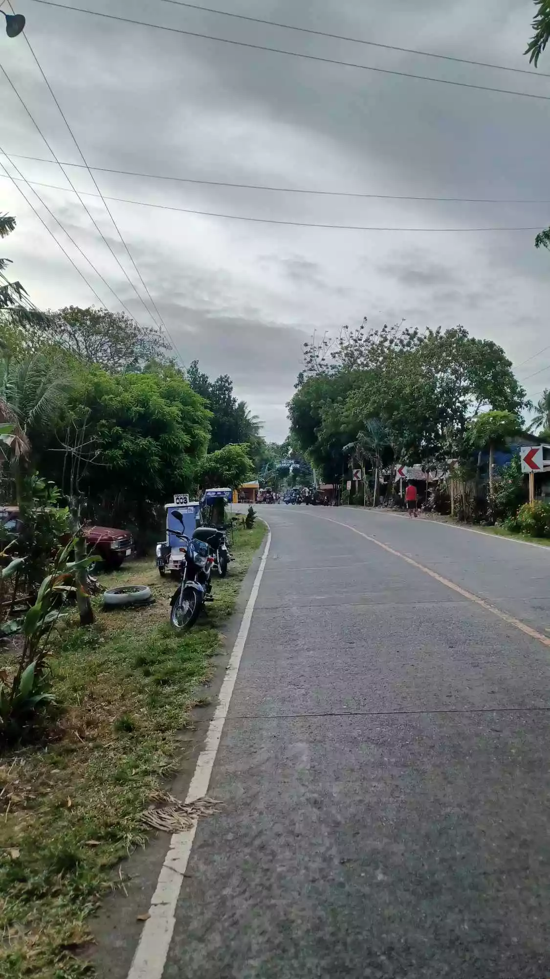Pulupandan Lot for sale along the road — Commercial Lot in Negros South Road, Pulupandan, Negros Occidental — Photo 7
