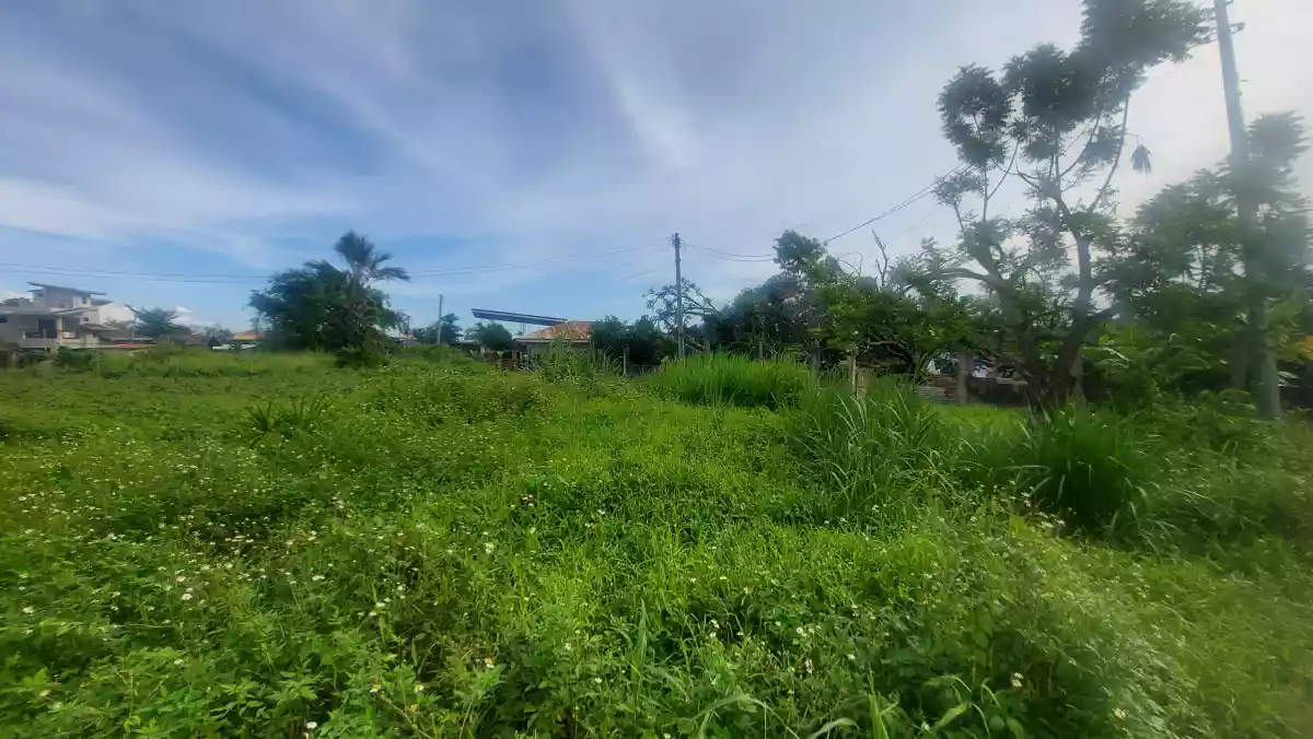 Residential lot for sale - photo 5