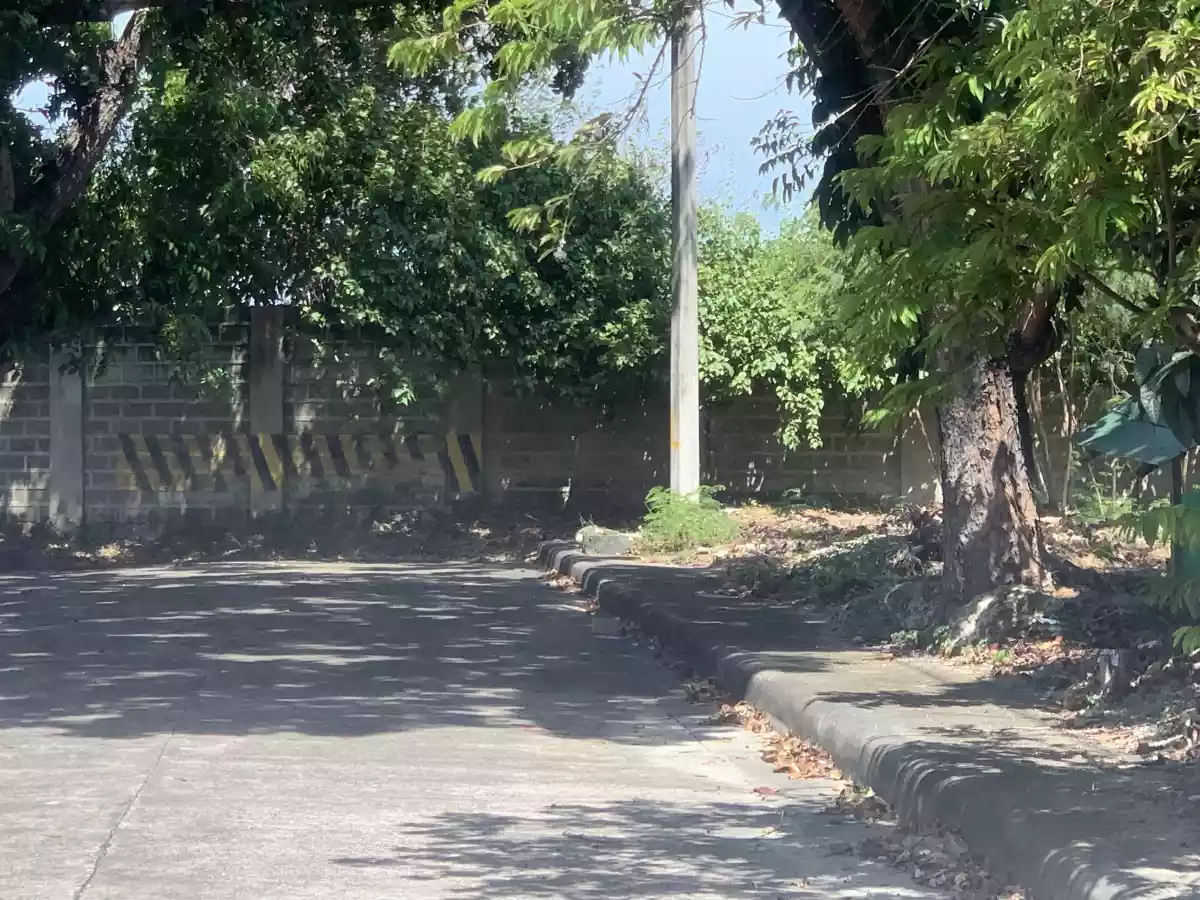 Villas Magallanes lot for sale in Lapu-Lapu City — Residential Lot in Ibabao - Gisi - Agus Road, Lapu-Lapu City, Cebu — Photo 5